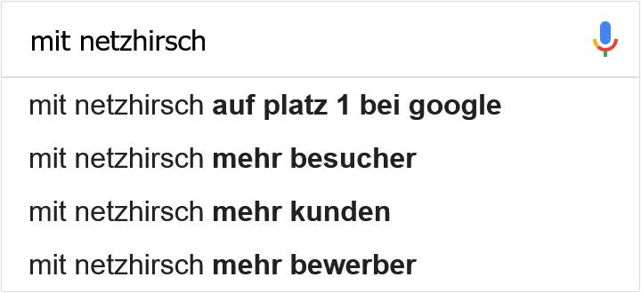 "mit netzhirsch" im Google-Suchfeld sowie dazu häufig gestellte Suchanfragen